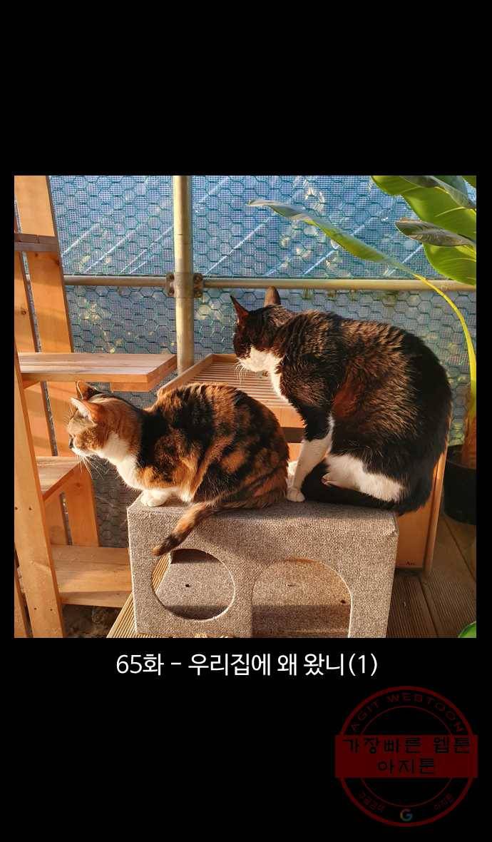 노곤하개 시즌4 65화 우리집에 왜 왔니 (1) 1