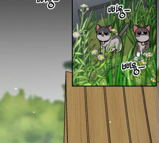 용왕님의 셰프가 되었습니다 76화 16