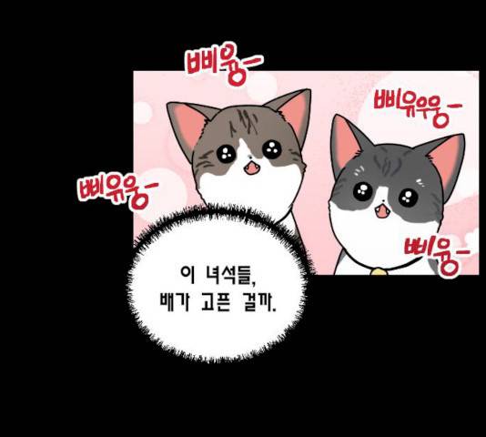 용왕님의 셰프가 되었습니다 76화 25
