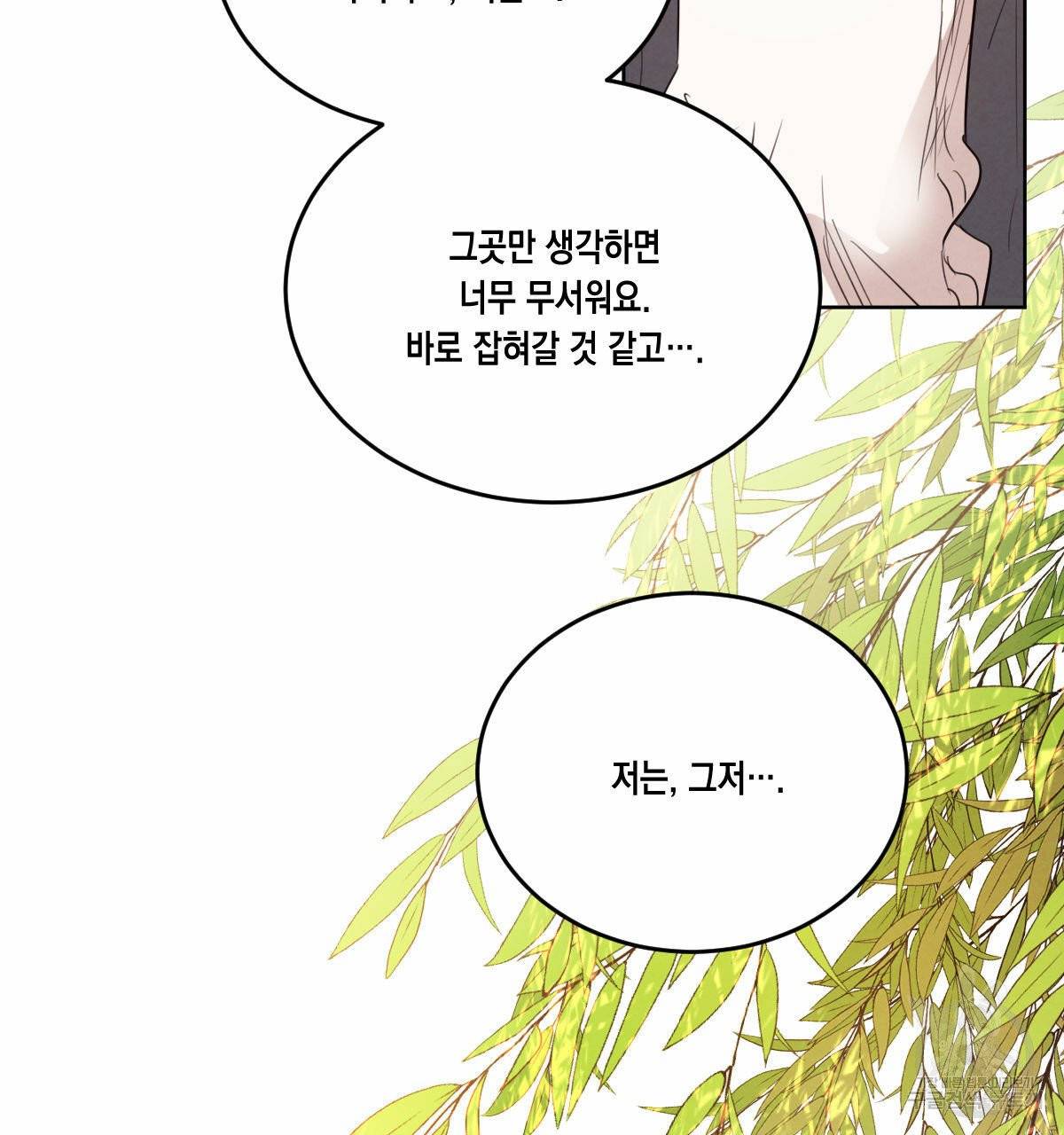 버드나무 로맨스 37화 39