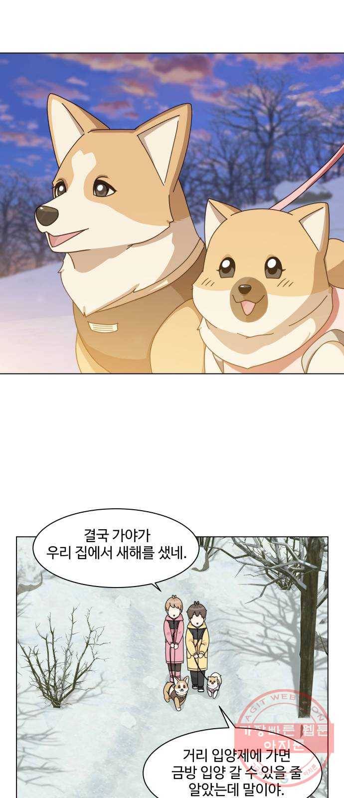 개를 낳았다 시즌2 64화 2