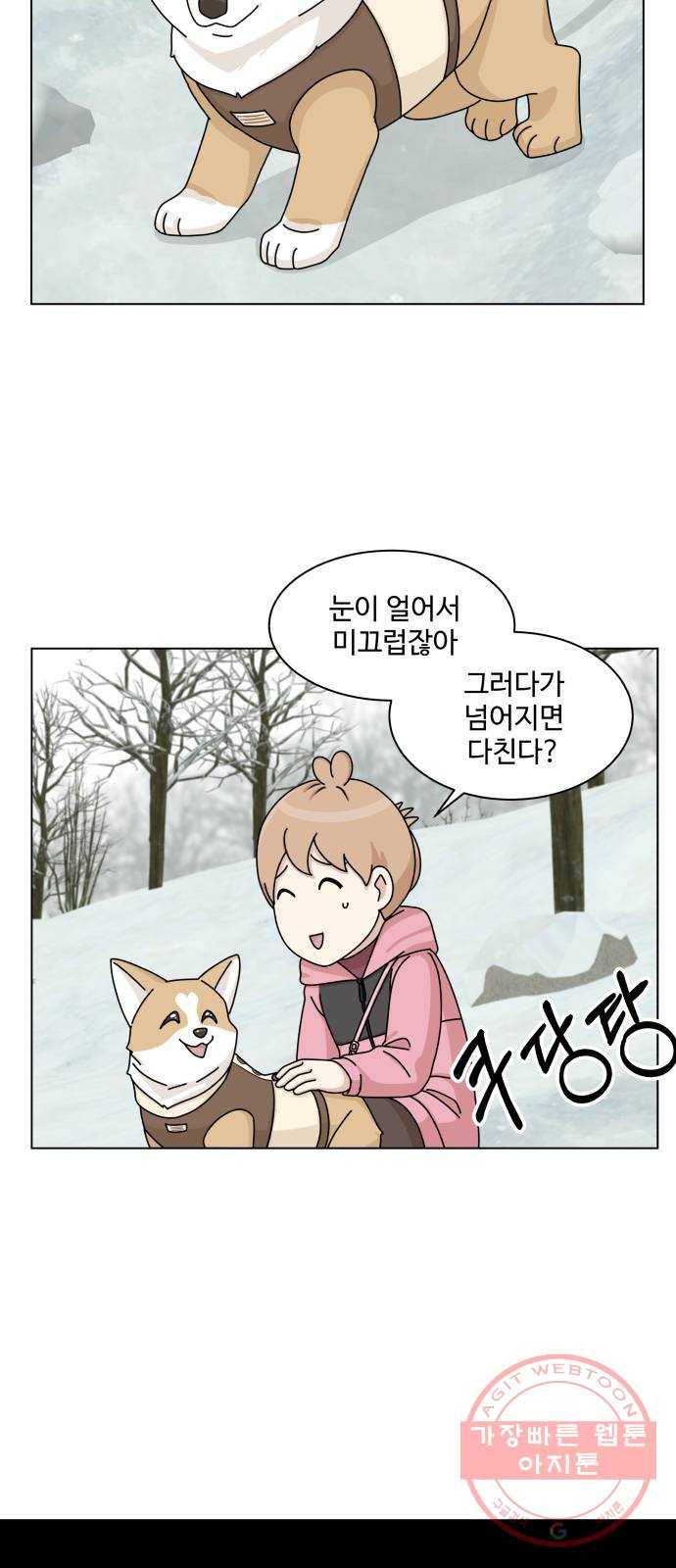 개를 낳았다 시즌2 64화 4