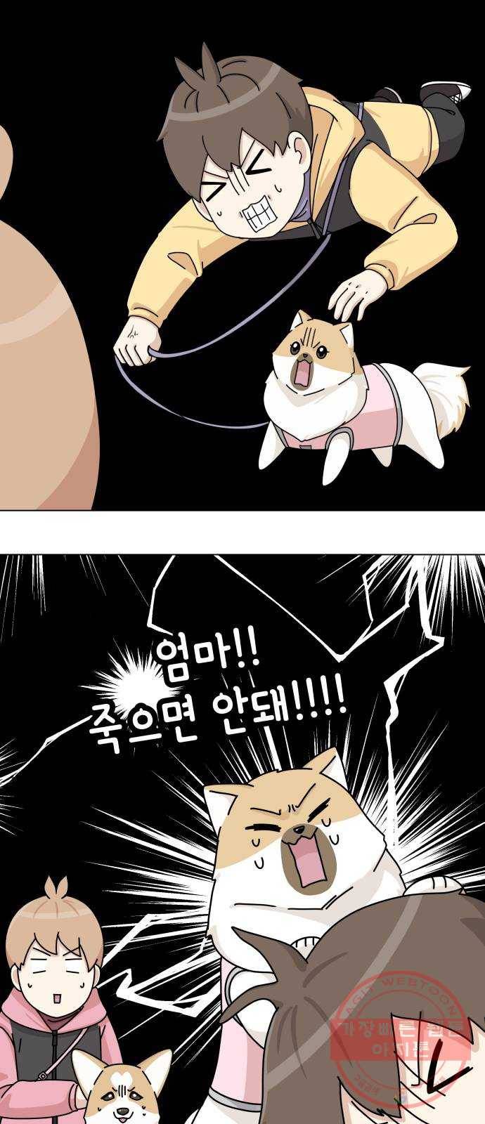 개를 낳았다 시즌2 64화 5
