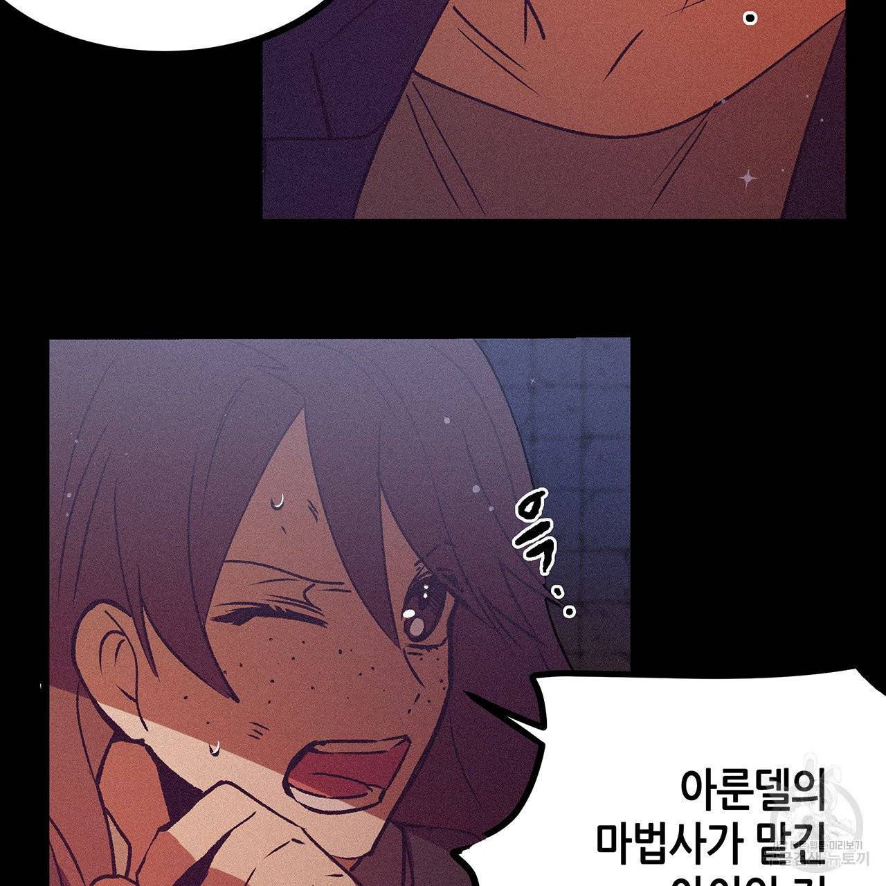 황제의 약혼녀로 산다는 것은 71화 23