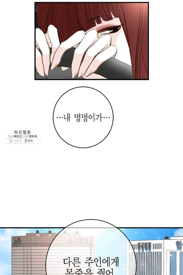 생존결혼 42화 53
