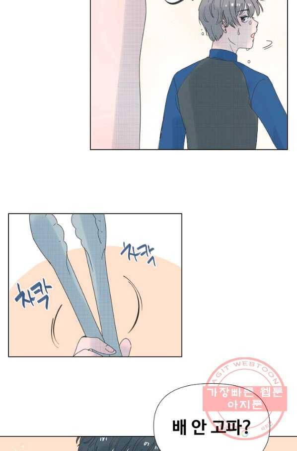 비타민C 비타민D 31화 5