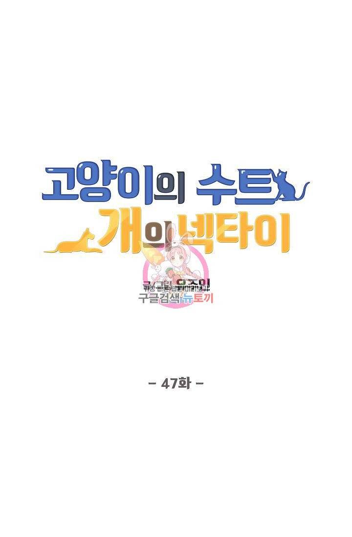고양이의 수트 개의 넥타이 47화 1