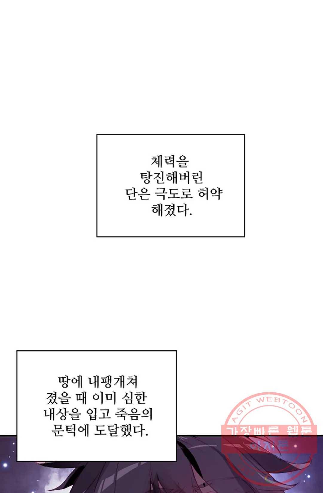 사신 영웅전: 바보 마법사 영웅이 되다 168화 20