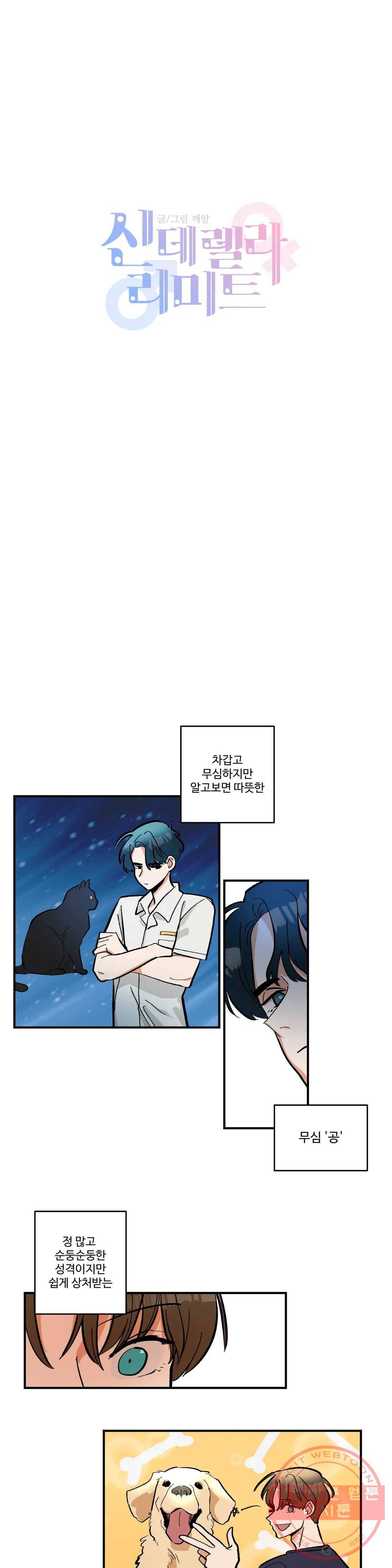 신데렐라 리미트 11화 2