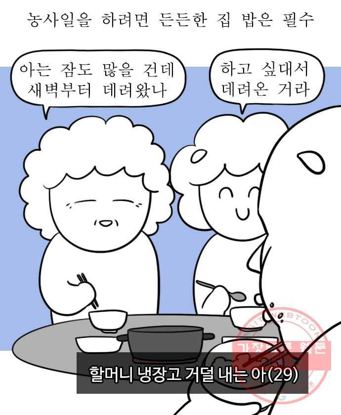 독립일기 시즌2 4화 감자캐기 4