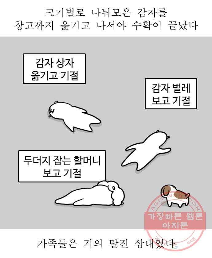 독립일기 시즌2 4화 감자캐기 16