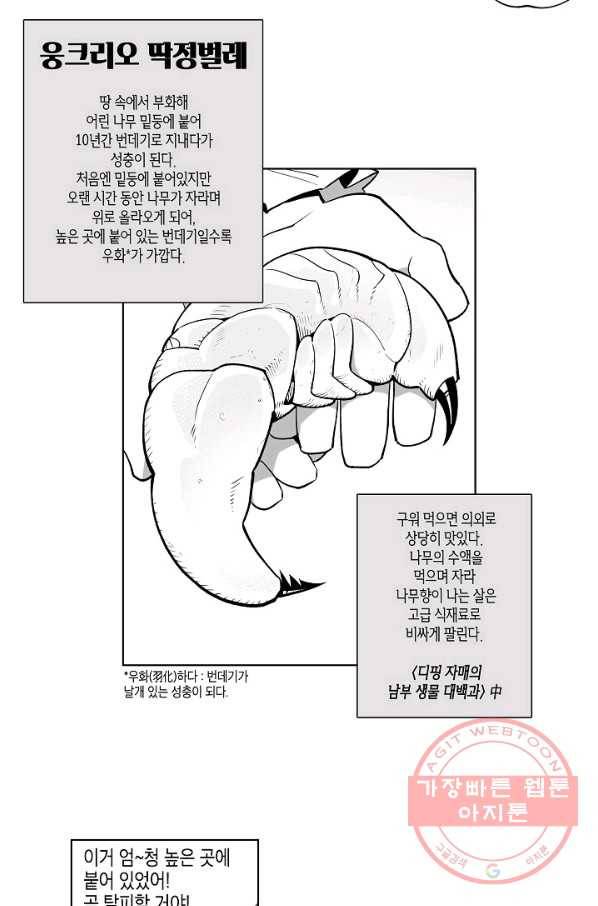 용의 귀로 3화 바다와 땅과 딱정벌레 15