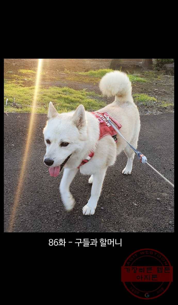 노곤하개 시즌4 86화 구들과 할머니 1