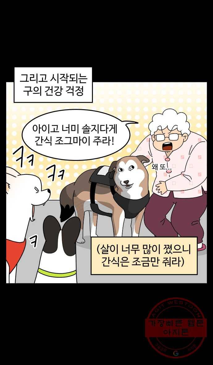 노곤하개 시즌4 86화 구들과 할머니 5