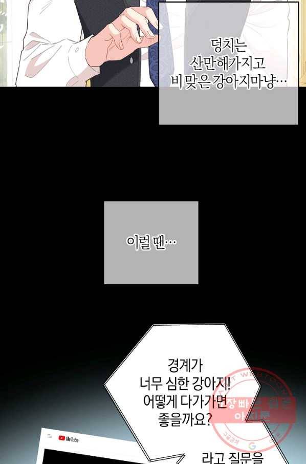 건강이 없습니다 35화 35