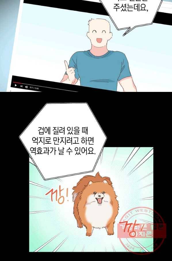 건강이 없습니다 35화 36