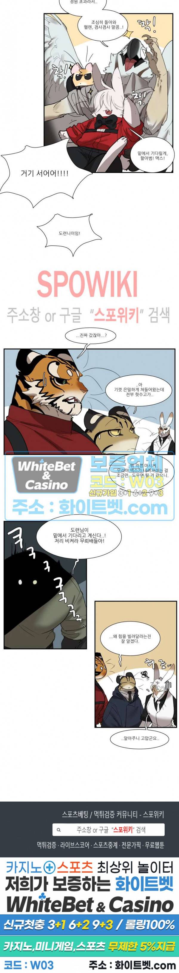 고양이 아가씨와 경호원들 237화 5