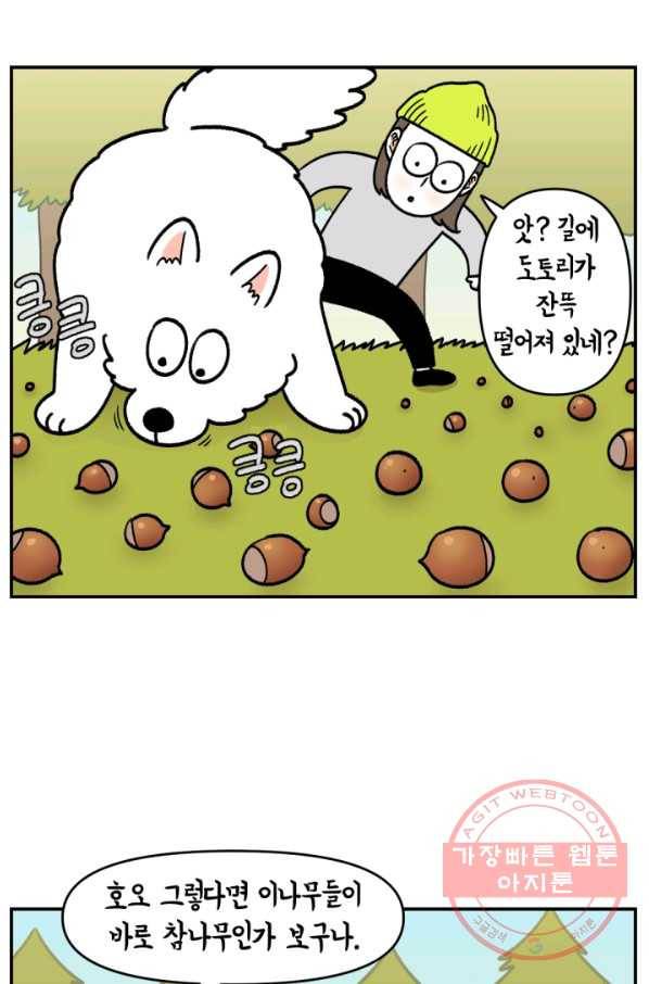 크레이지 가드너 11화 도토리,솔방울,단풍나무 3
