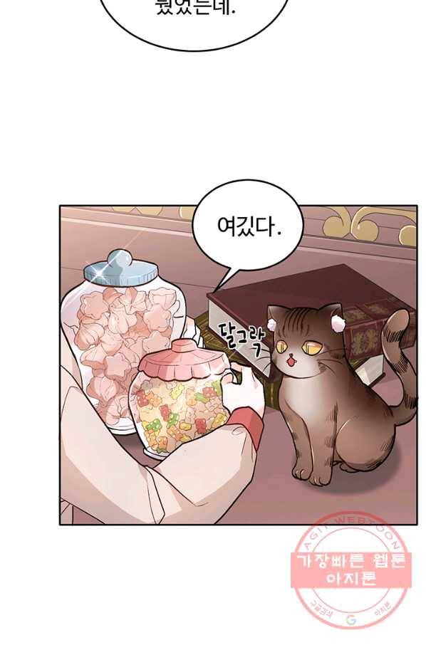 한 줄짜리 영애였을 터 90화 13