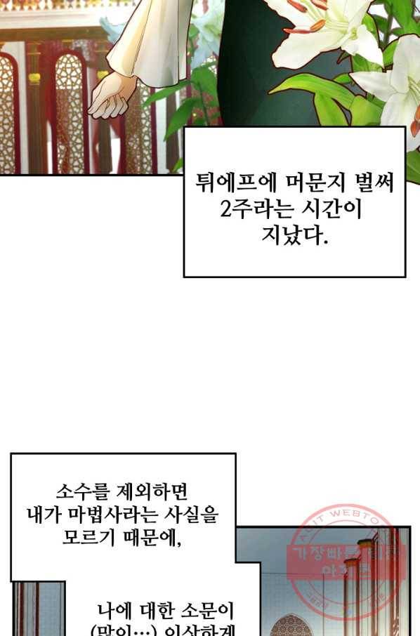 램프의 아미나 99화 54