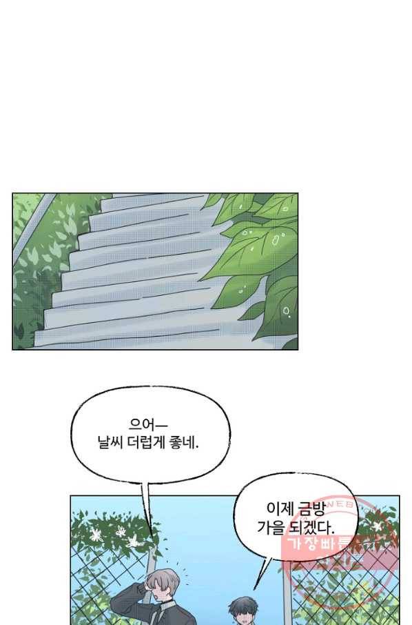 비타민C 비타민D 45화 7