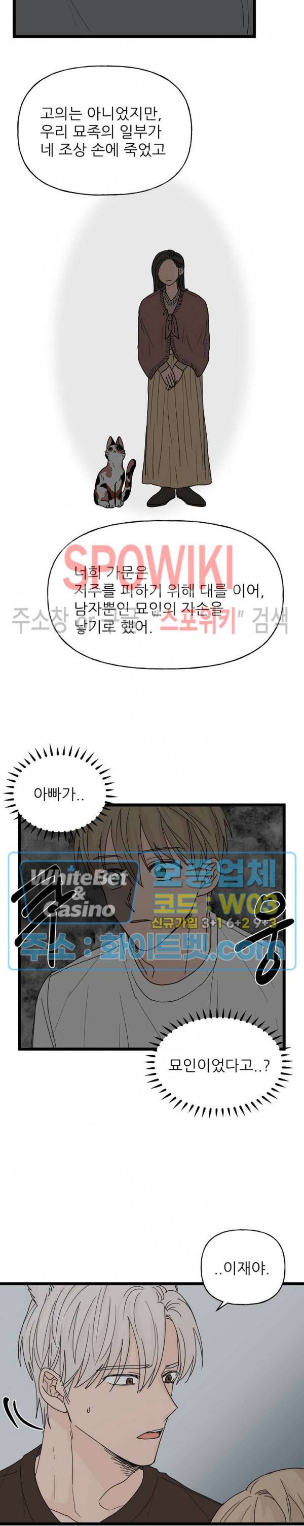 행운은 고양이로부터 7화 5