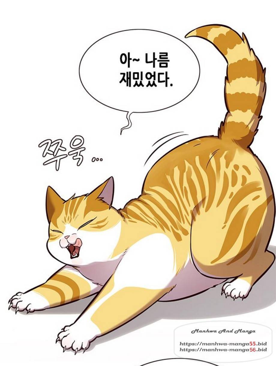 일렉시드 164화 17