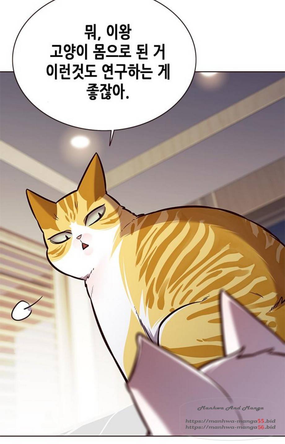 일렉시드 164화 24