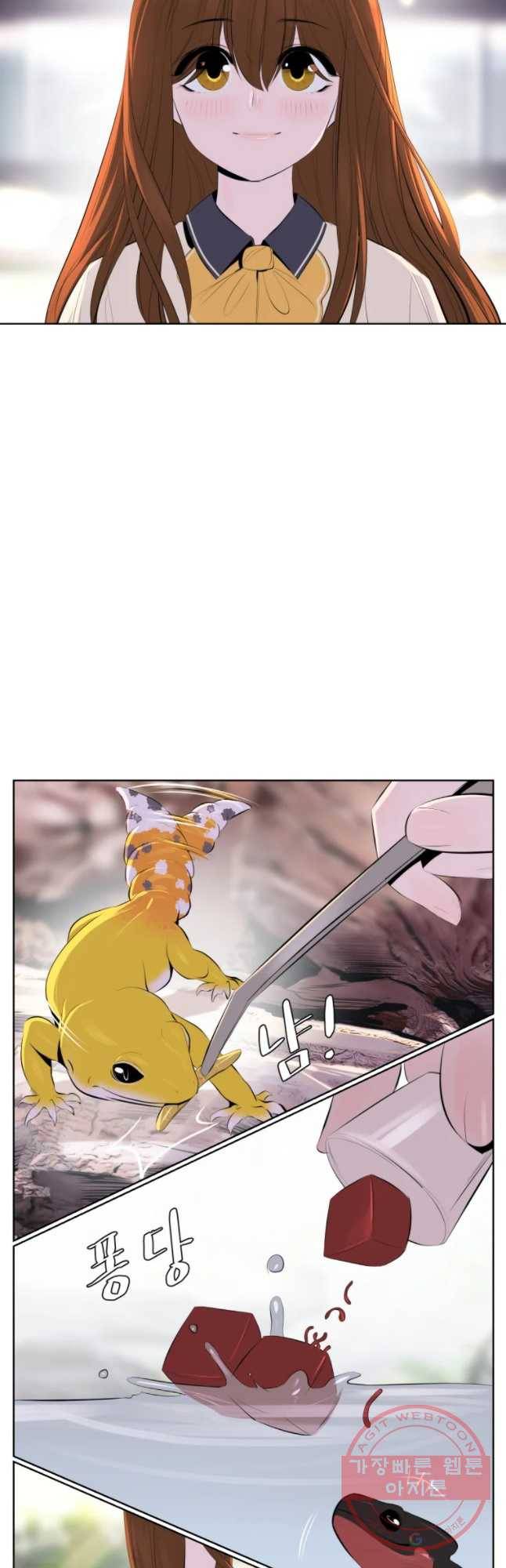 케어시트 6화 거레 5