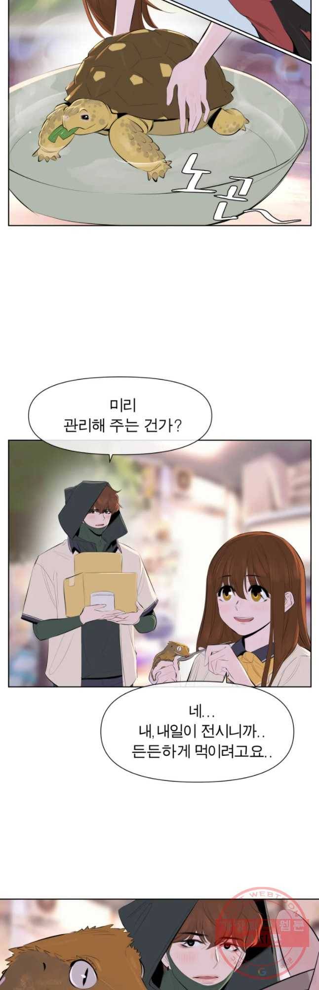 케어시트 6화 거레 6