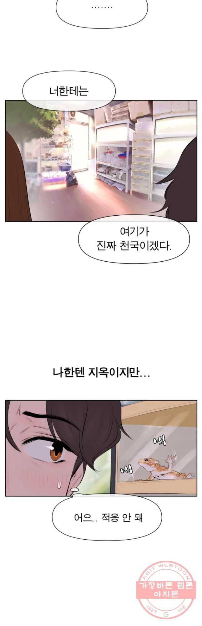 케어시트 6화 거레 10