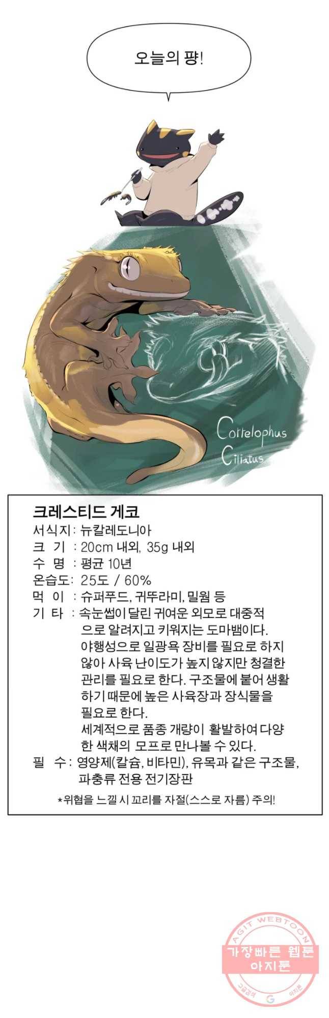 케어시트 6화 거레 41