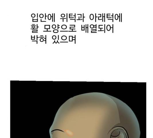 가슴털 로망스 127화 39