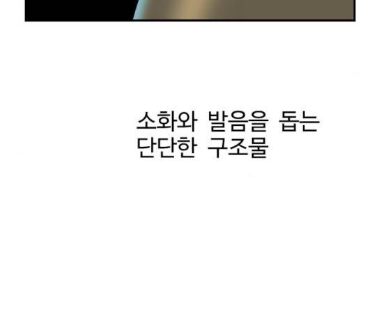 가슴털 로망스 127화 41