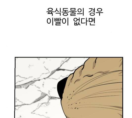 가슴털 로망스 127화 47