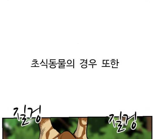 가슴털 로망스 127화 50