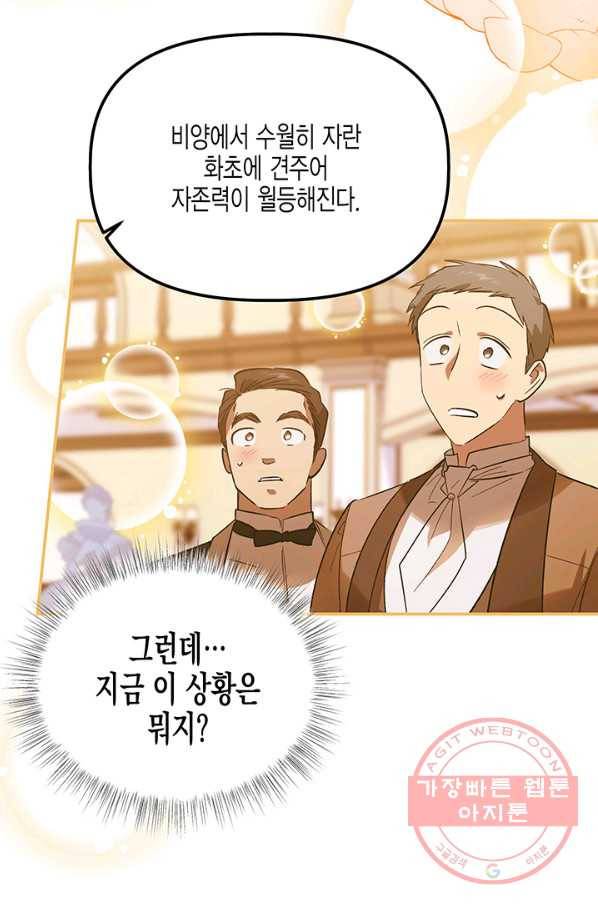 다행인지 불행인지 62화 55