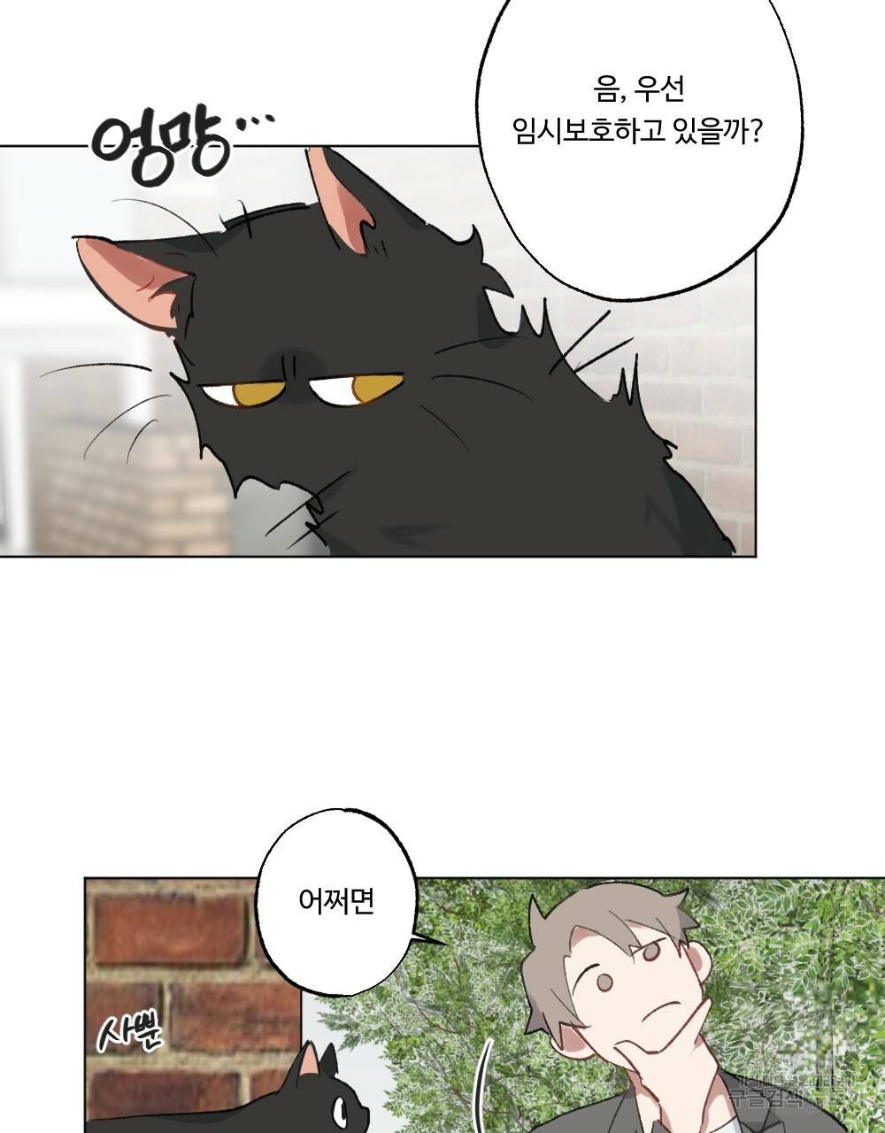 월간 가슴 크다냥 고양이 탐정 1화 39