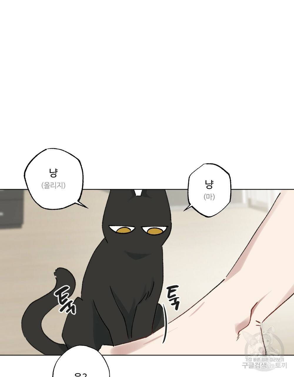 월간 가슴 크다냥 고양이 탐정 1화 63