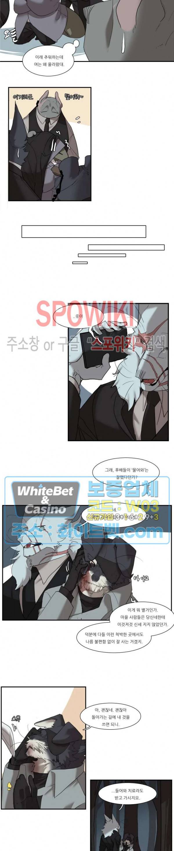 고양이 아가씨와 경호원들 244화 3