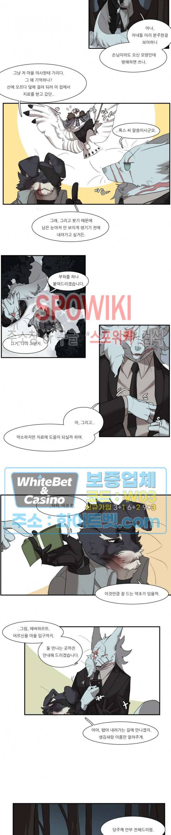 고양이 아가씨와 경호원들 244화 4