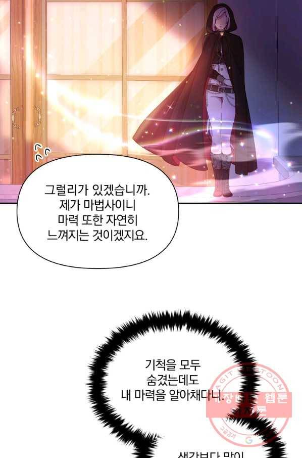 폭군의 보호자는 악역 마녀입니다 66화 17