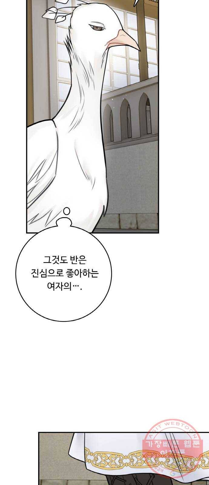 마녀와 용의 신혼일기 56화 26