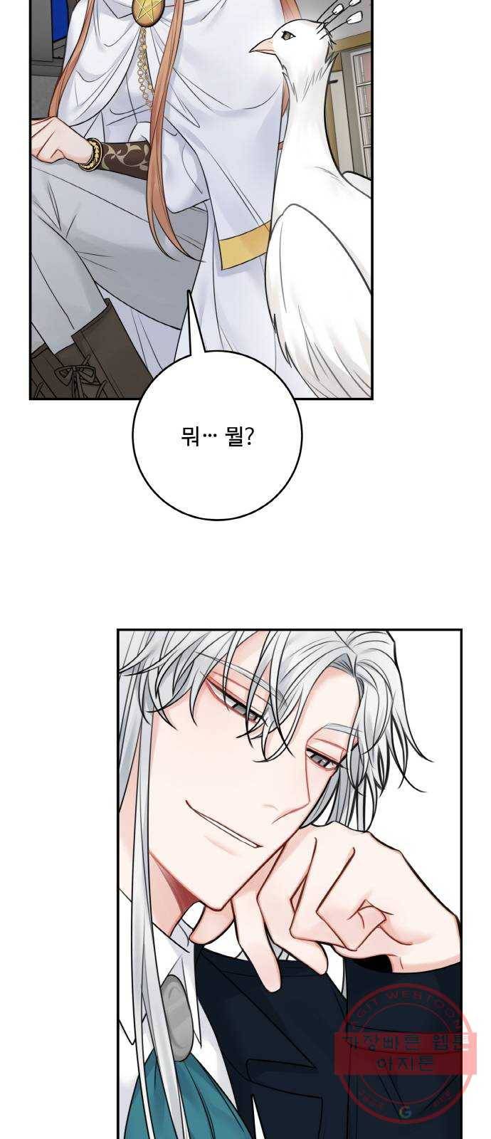 마녀와 용의 신혼일기 56화 50