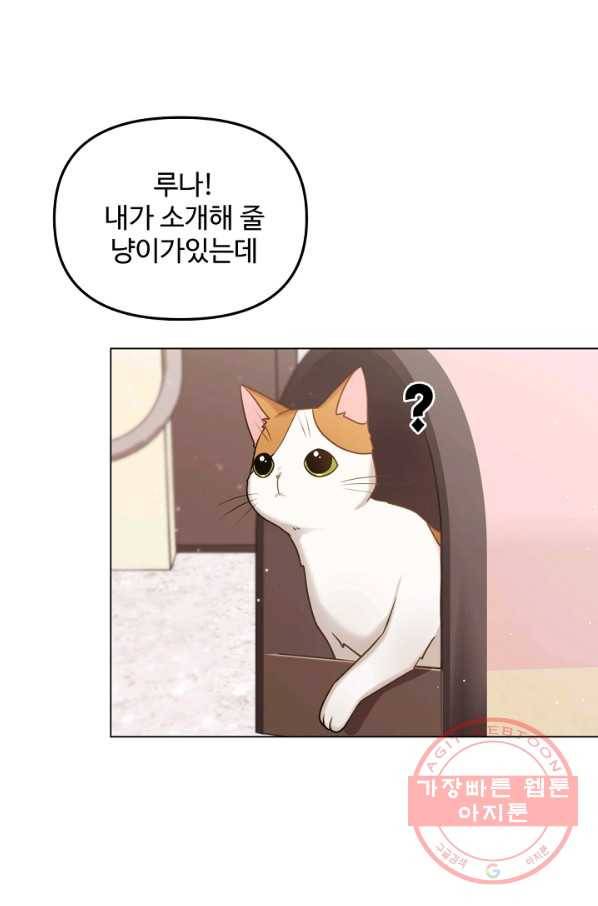 우리집 고양이는 베지테리언 신발이 얼룩진 이유 1