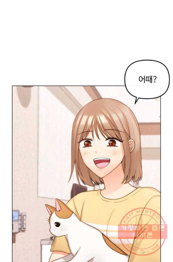 우리집 고양이는 베지테리언 신발이 얼룩진 이유 2