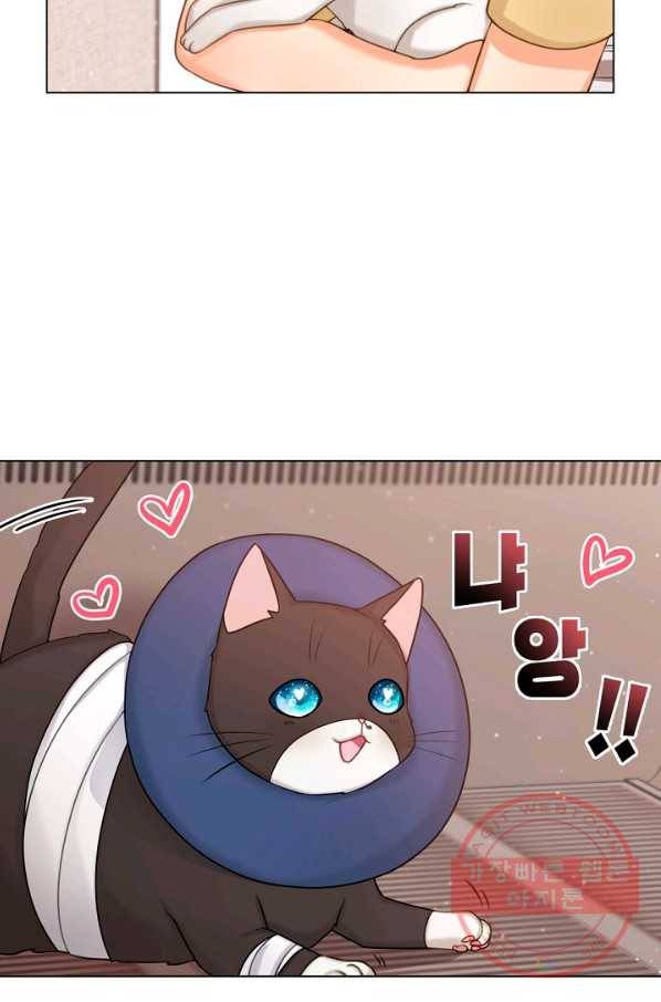 우리집 고양이는 베지테리언 신발이 얼룩진 이유 3