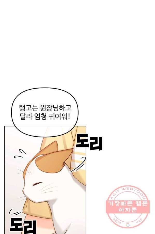 우리집 고양이는 베지테리언 신발이 얼룩진 이유 4