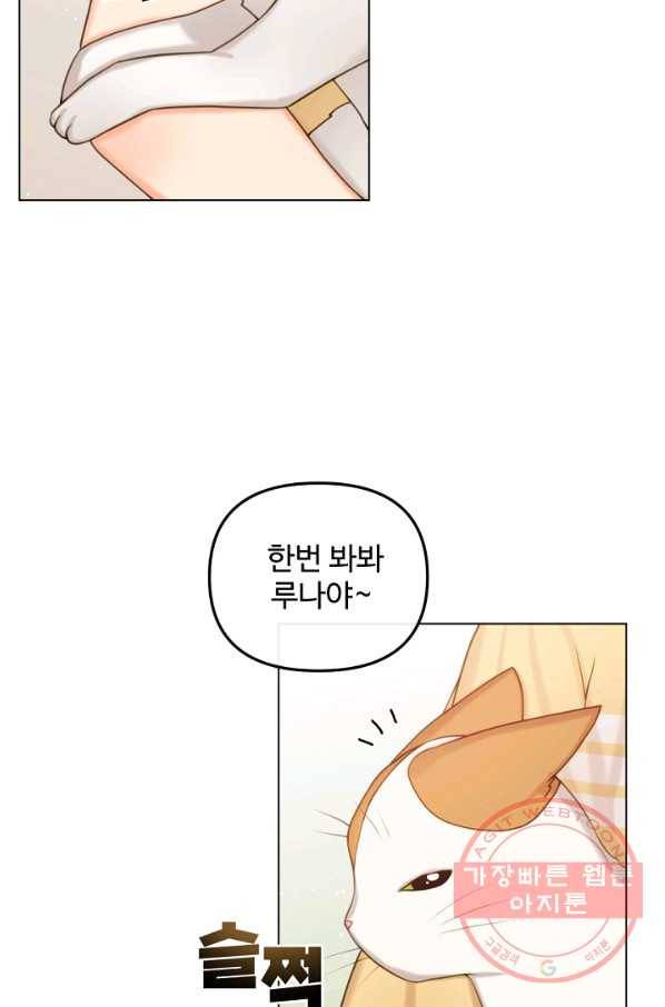 우리집 고양이는 베지테리언 신발이 얼룩진 이유 5