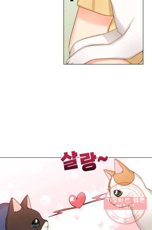 우리집 고양이는 베지테리언 신발이 얼룩진 이유 6